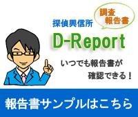 񍐏D-Report