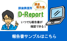 探偵興信所報告書D-Report