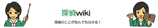 T̐p̉bTwiki