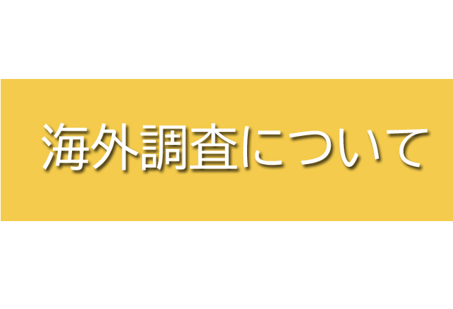 中国調査について