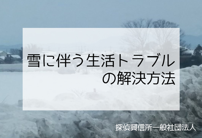 探偵興信所が教える大雪に伴う生活トラブルの解決方法 専門家が教える問題解決方法 探偵興信所社団法人