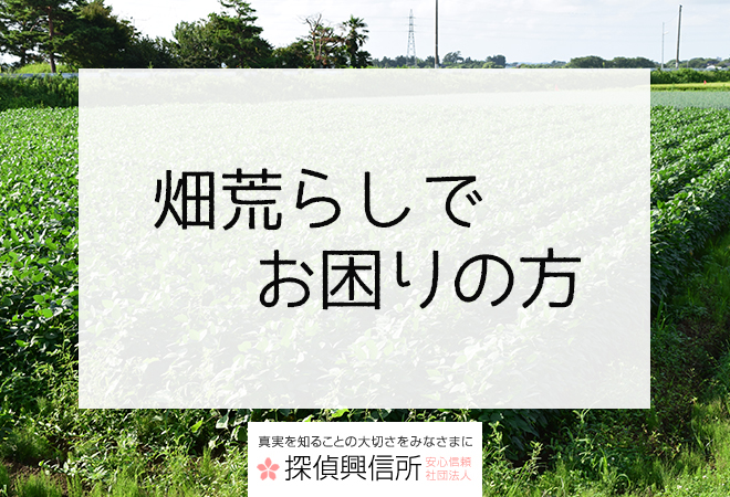 結婚相手の家族に問題があるか知りたい