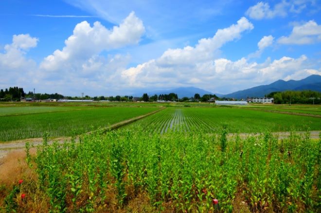 五泉市探偵興信所相談窓口のご案内