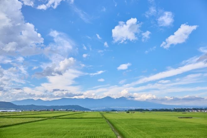 佐久市|探偵興信所相談窓口のご案内