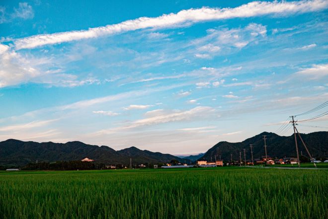 興信所|胎内市の相談窓口