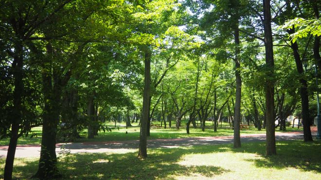 入間市探偵興信所相談窓口のご案内